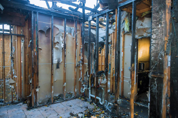 Professional Fire Damage Removal technician working in Romney, WV